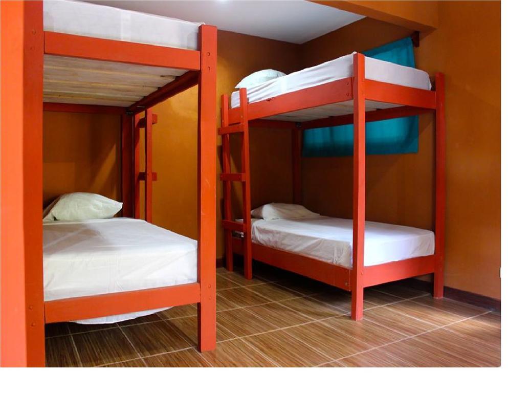 Coral Reef Surf Hostel And Camp Ταμαρίντο Δωμάτιο φωτογραφία